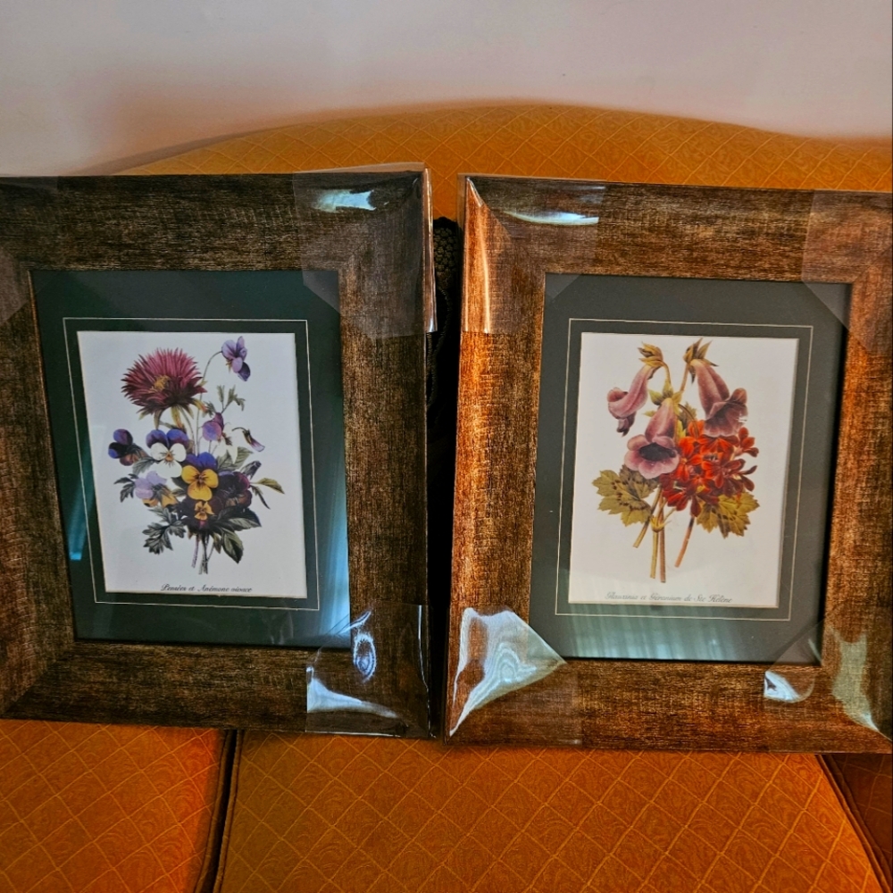 Framed botanical prints, NWT